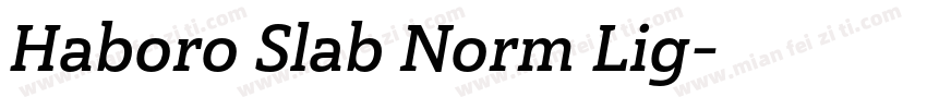 Haboro Slab Norm Lig字体转换